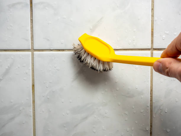 Best Toxic Mold Removal  in Nephi, UT