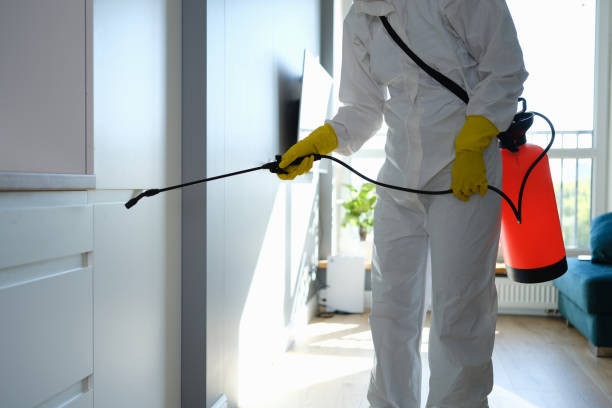 Best Certified Mold Removal  in Nephi, UT