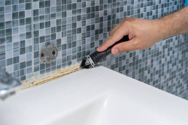 Best Residential Mold Removal  in Nephi, UT