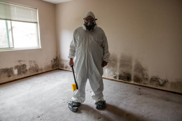 Best Residential Mold Removal  in Nephi, UT